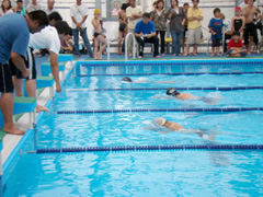 �~�}�ԓ����w