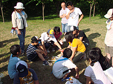 �l�������H�ނ́I�H��ʕi���m�F��