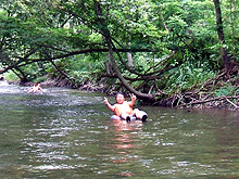 �ō���[�I�I