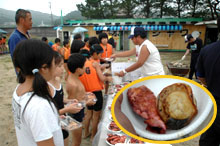 �z�^�e��C�J������������