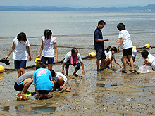 �}�e�L�T��