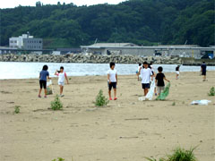 �N���[���r�[�`