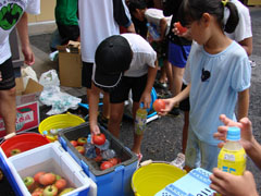 �y�����x�e�^�C��