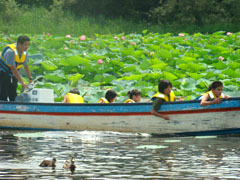 �n�X�̂��΂�ʂ�߂���