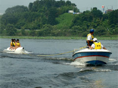 �o�i�i�{�[�g