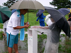 �������J�ł�