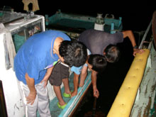 ������̊ώ@