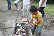 �A���S�̋��Ă�