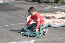 �e���g�P��2