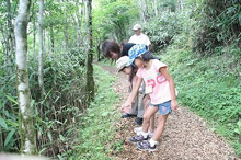 �Z���s�[���[�h1