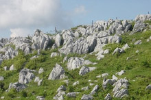 �l���J���X�g1