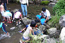 �A���S�̂��ݎ��