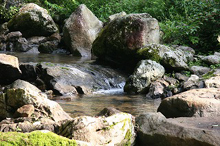 �l���\��