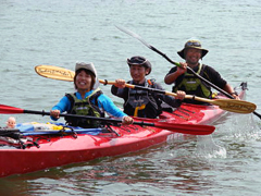 �L������J�k�[�ɏ���ĉ�����