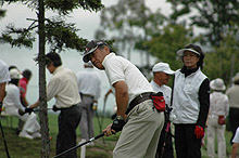 �p�[�N�S���t