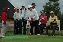 �p�[�N�S���t