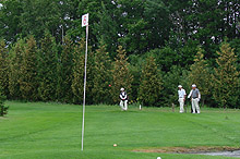 �p�[�N�S���t