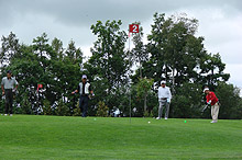 �p�[�N�S���t