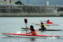 �����Q�O�N�x�@�a���f�X�|�[�c���@�����u���b�N���u����̕��v