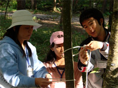 �k�m�s�̎�������