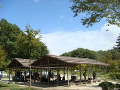 ���V�����h�͂Ȃ�I�[�g�L�����v��