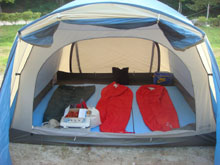 �e���g����