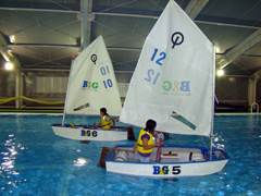 �u�v�[���łn�o���b�g�����߉j�v�̌���