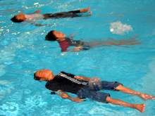 ���߉j�i�y�b�g�{�g���j