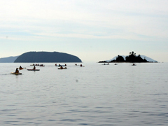 ���l���Ƀ`�������W