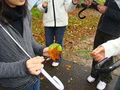 �t���σW�����P��