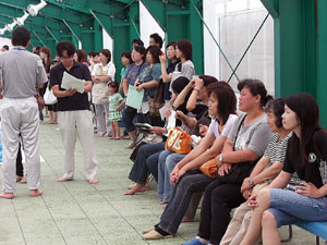 �v�[���T�C�h�Ō����ی��