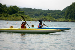 �Q���̑���