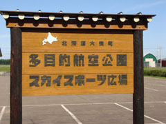 ������̑��ړI�q�����