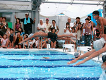 ��э��ޏu��