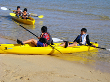 �J�k�[�̌�