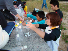 �����E�H��