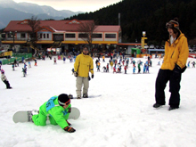 ���x�ł������オ���ād