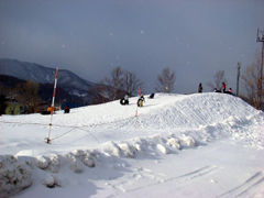 ���ׂ��̑S�i