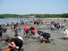 ���m���̒�������