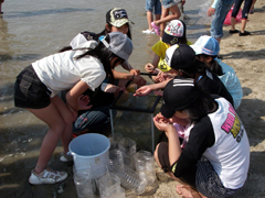 ���ӂ̃C���^�[�v���e�[�V����