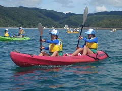 �J�k�[�̌�