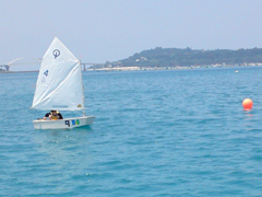 ���b�g���C