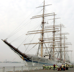 ���D���C