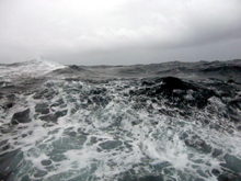 ���D���C