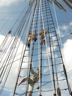 ���D���C