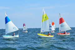 ��N�x�̗l�q