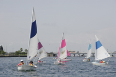 �A�N�Z�X�f�B���M�[�t�F�X�^