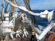 �Z�[���̎��t�����