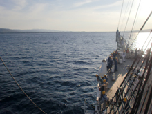 ���n�����É�