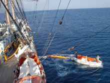 �����̗l�q